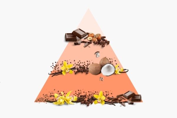 Pyramide olfactive Chocolat chaud